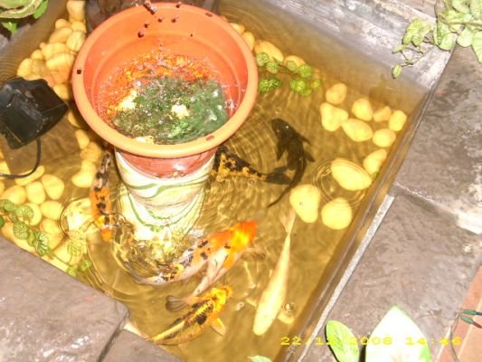 Sekitar MRS Daerah Alor Gajah